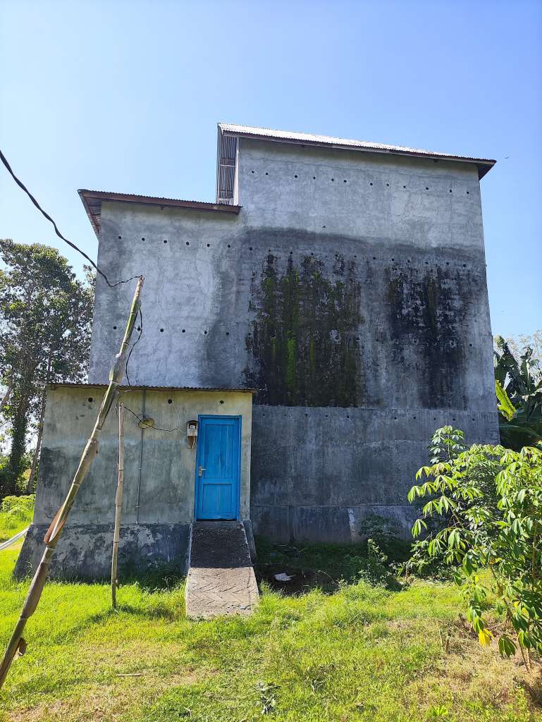 Swiftlet House 2